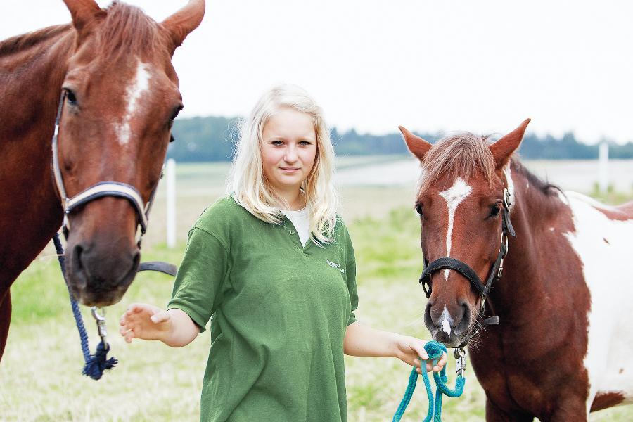 Eine junge Frau betreut zwei Pferde im Freien