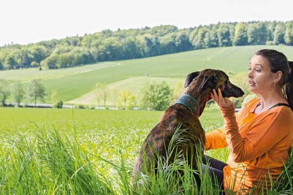 Drv Experten Fallmanagement Nach Psychosomatischer Rehabilitation
