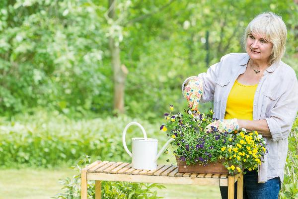 Eine ältere Frau bepflanzt einen Blumenkasten in einem Garten. Eine ältere Frau bepflanzt einen Blumenkasten in einem Garten.