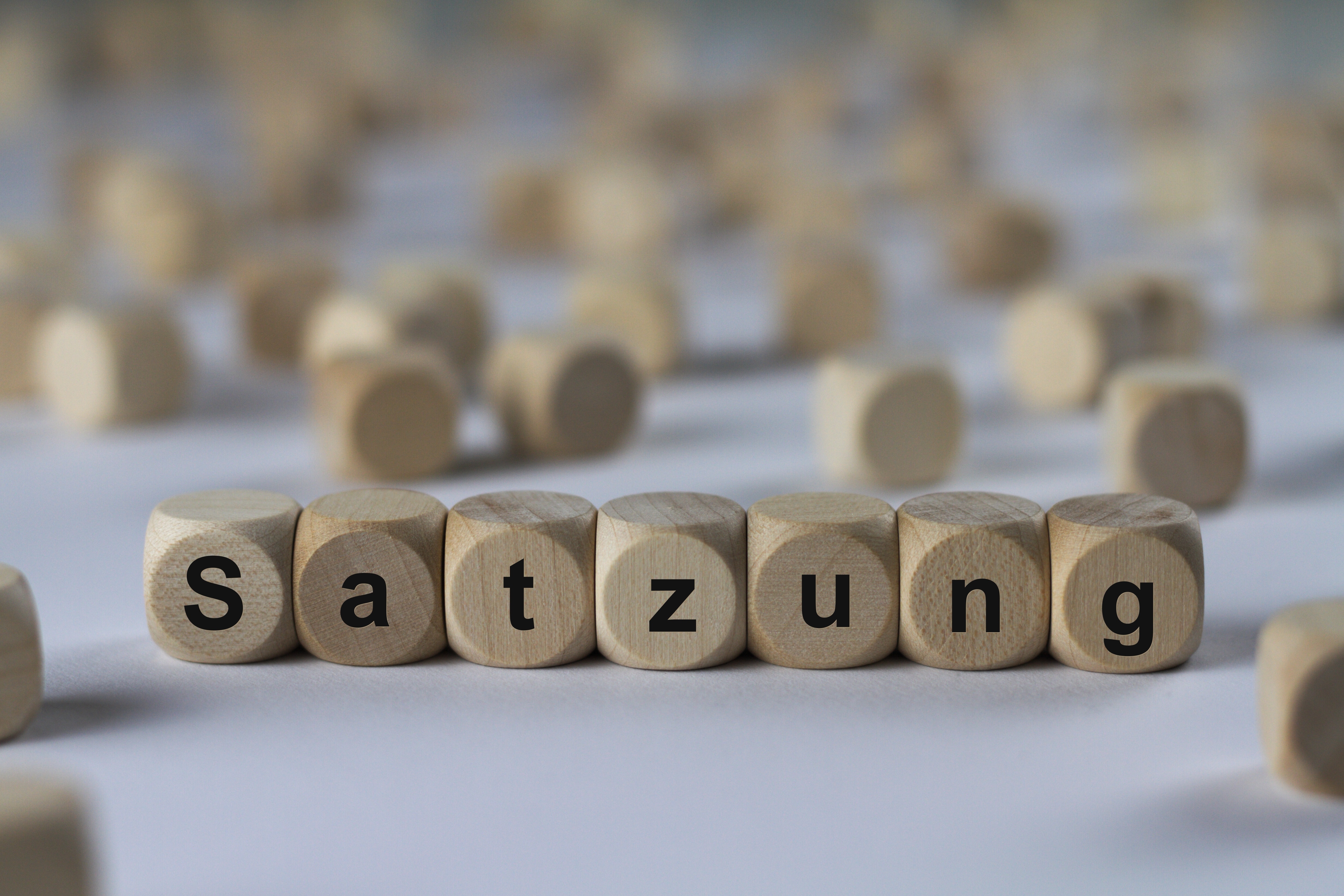 Satzung Satzung