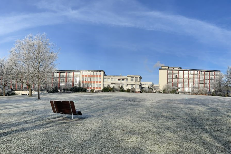 Das Bild zeigt den Park bei der Rehaklinik Teutoburger Wald im Winter. Der Rasen und die Bäume sind mit Frost bedeckt. Das Bild zeigt den Park bei der Rehaklinik Teutoburger Wald im Winter. Der Rasen und die Bäume sind mit Frost bedeckt.