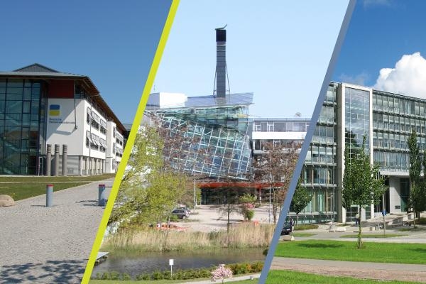 Die Verwaltungsstandorte der DRV Nord in Neubrandenburg, Lübeck und Hamburg als Collage auf einem Bild
