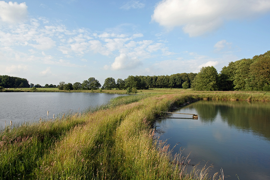 Idyllischer Naturpark rund ums Rehazentrum Idyllischer Naturpark rund ums Rehazentrum