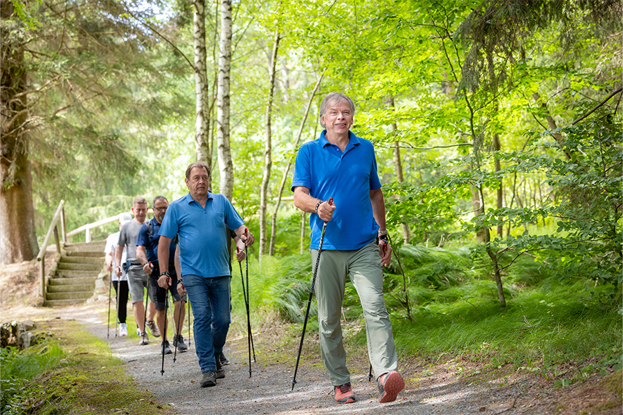 Eine Gruppe von Männer läuft mit Walking-Stöcken durch den Wald. Eine Gruppe von Männer läuft mit Walking-Stöcken durch den Wald.