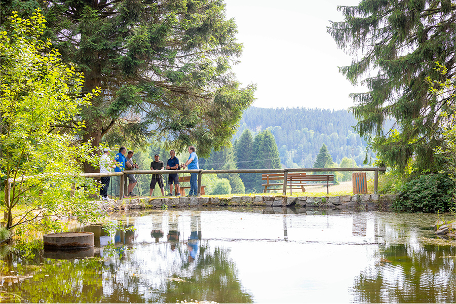 Mehrere Männer mit Walking-Stöcken machen eine Pause an einem Teich im Wald. Mehrere Männer mit Walking-Stöcken machen eine Pause an einem Teich im Wald.