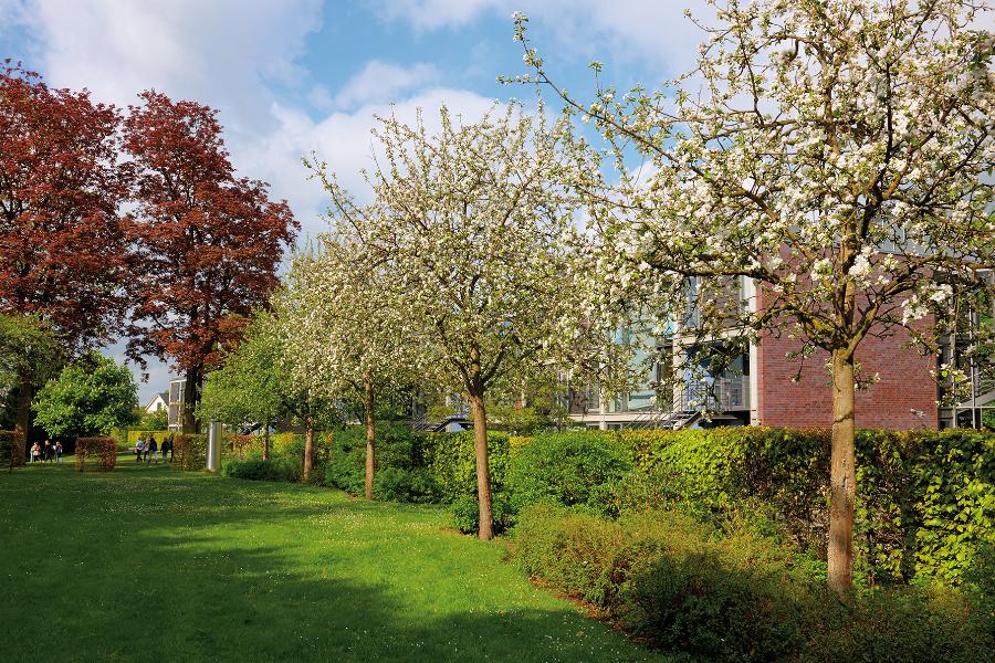 Studierendenappartments auf dem Reinfelder Campus von außen Studierendenappartments auf dem Reinfelder Campus von außen