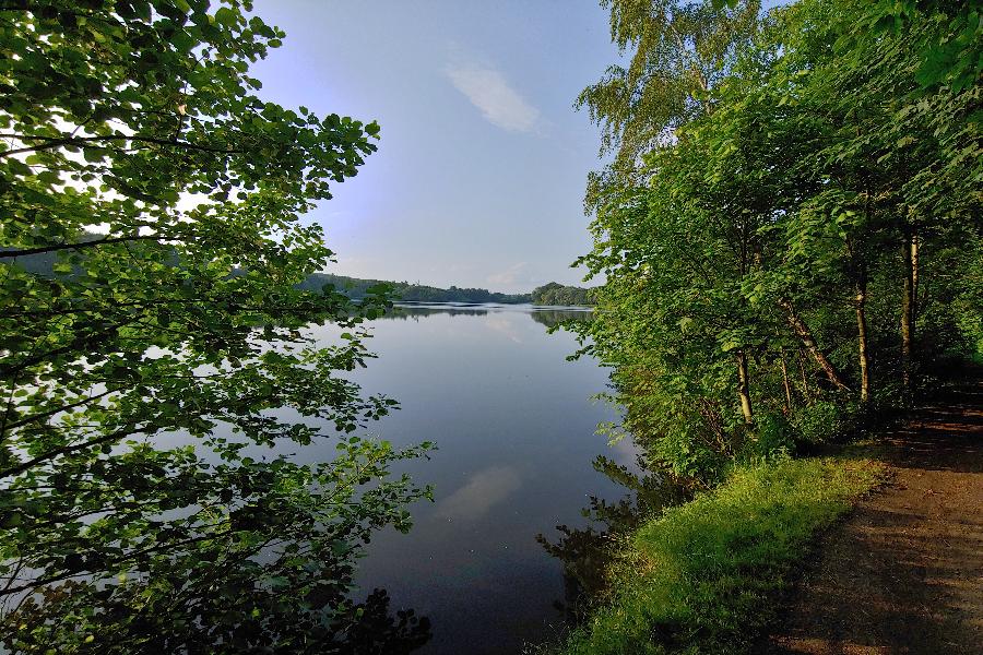 See neben der Fachhochschule in Reinfeld See neben der Fachhochschule in Reinfeld
