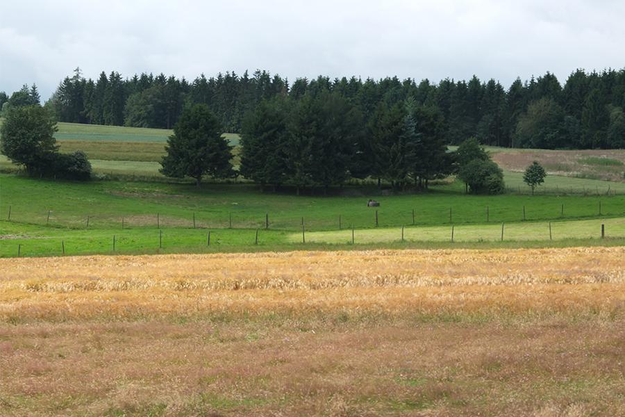 Landschaftsaufnahme. Landschaftsaufnahme.