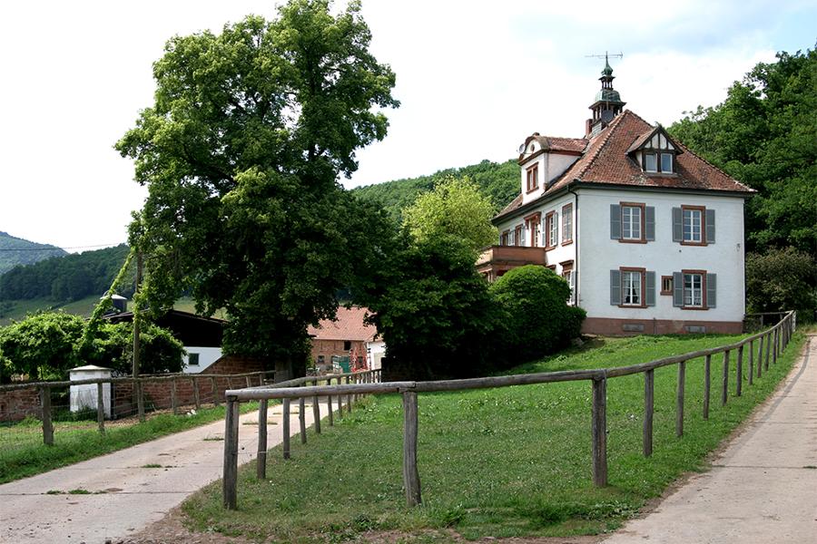 Bauernhof im Wald. Bauernhof im Wald.