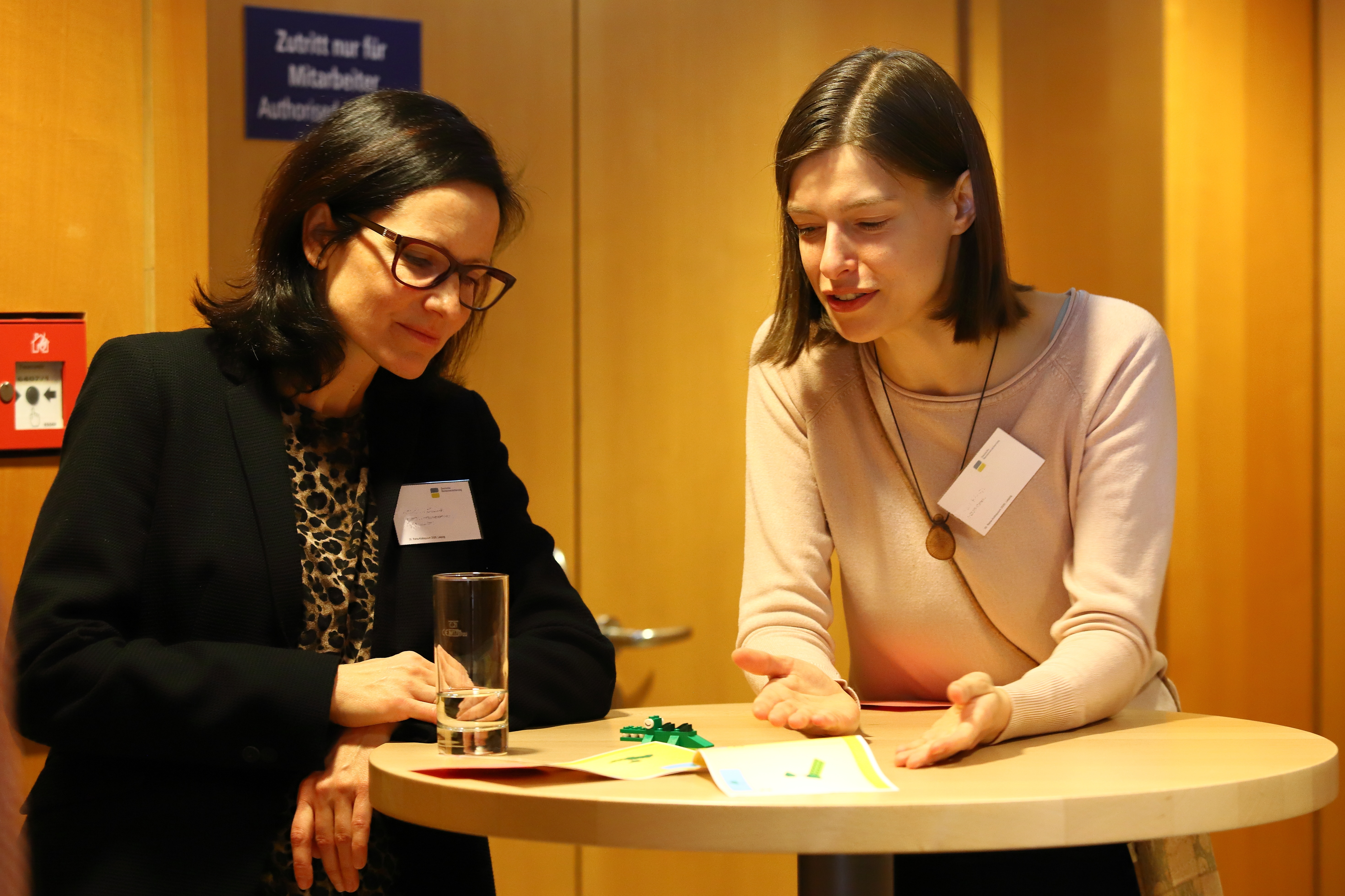 Workshop WS Lego Serious Play Krokodil Workshop WS Lego Serious Play Krokodil